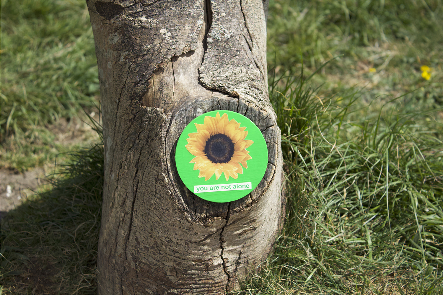 Sunflower badge on tree