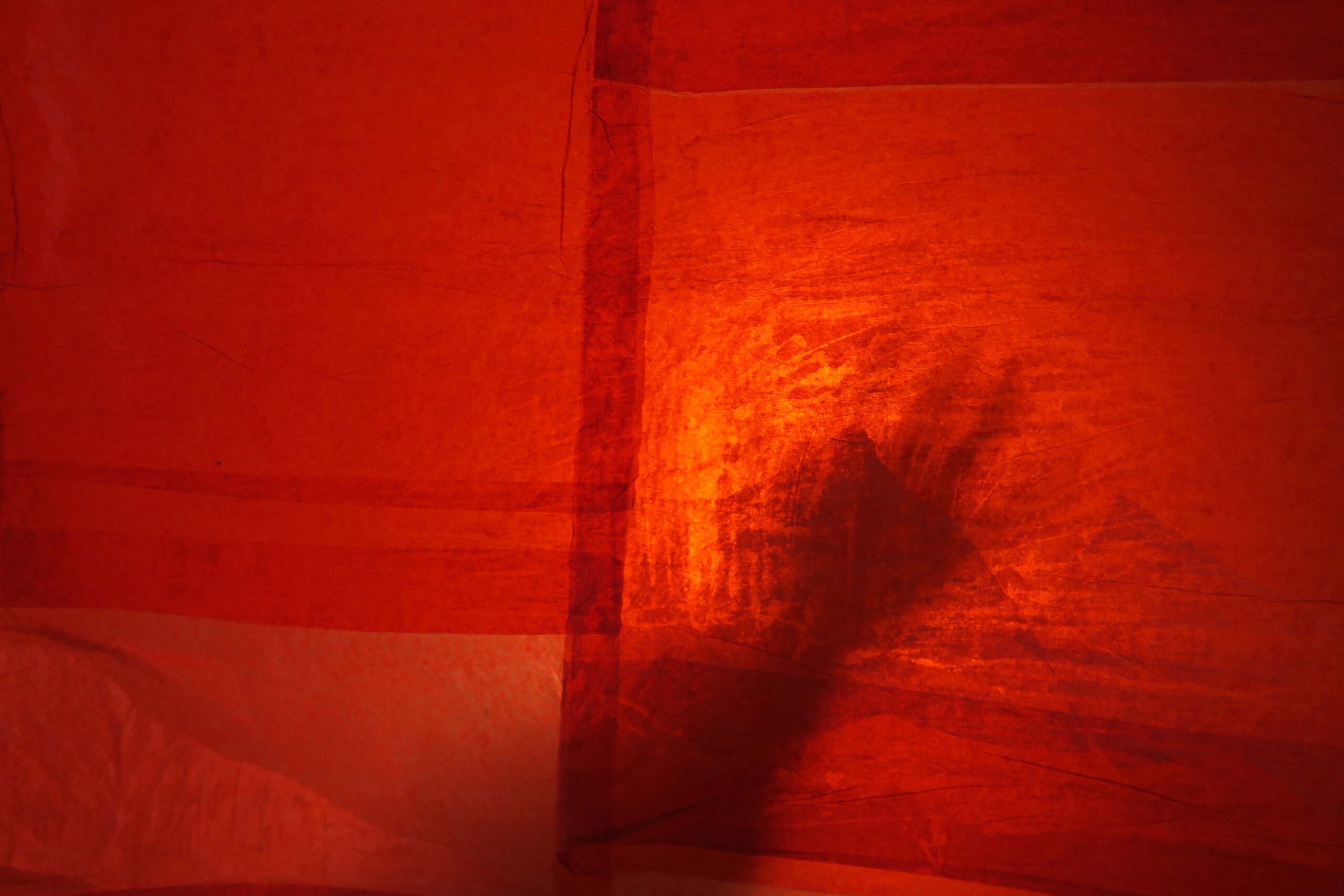 shadow of hand behind red screen